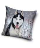 The Dog Pillowcase 40*40 cm