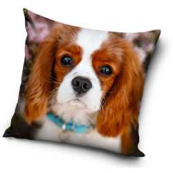 The Dog Pillow Cushion 40*40 cm