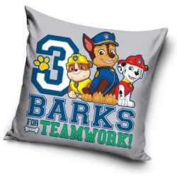 Paw Patrol Pillow Cushion 40*40 cm