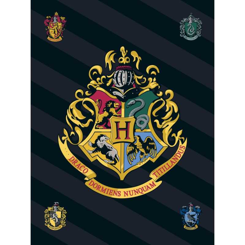 Harry Potter Fleece Blanket 100*140 cm