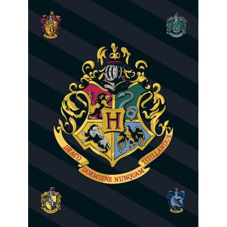 Harry Potter Fleece Blanket 100*140 cm