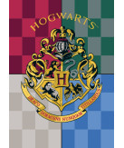 Harry Potter Fleece Blanket 100*140 cm