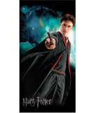 Harry Potter Beach towel 70*140 cm