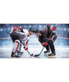 Ice hockey Beach towel 70*140 cm