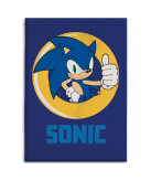 Sonic The Hedgehog polar blanket