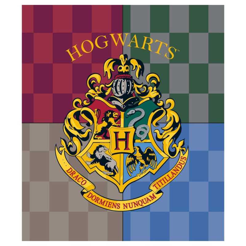 Harry Potter Hogwarts premium coral blanket