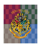 Harry Potter Hogwarts premium coral blanket