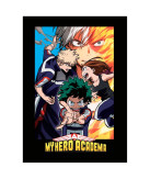 My Hero Academia polar blanket