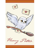 Harry Potter Facetowel handtowel 30*50 cm